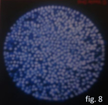 Universaloide - Figura 2